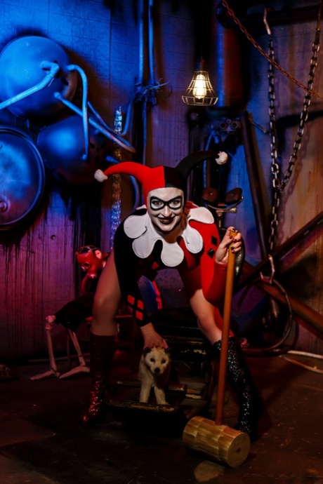 Harley Quinn gratis stjärna bilder